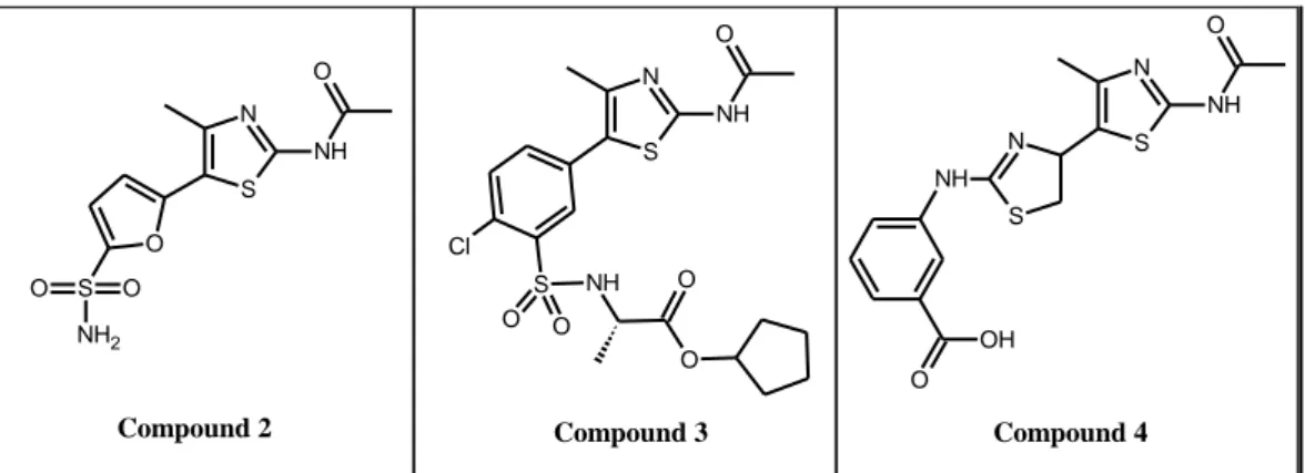 Figure 2.7: Structure of 2-Aminothiazole PI3K γ inhibitors (Compound 2, 3, 4)
