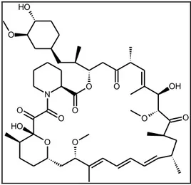 Figure 2.8: Structure of Rapamycin 