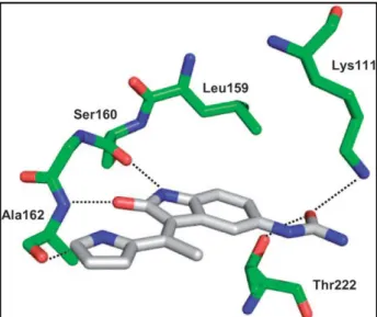 Figure 3.3: Binding mode of BX-517 in the ATP binding pocket of PDK1