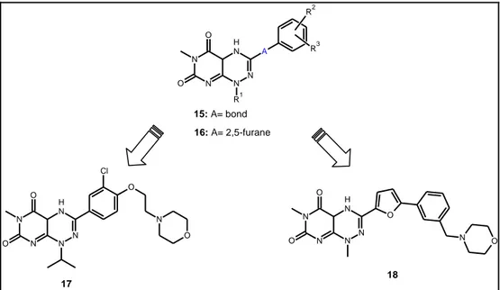 Table 4.7. Structure of analogs of toxoflavin 