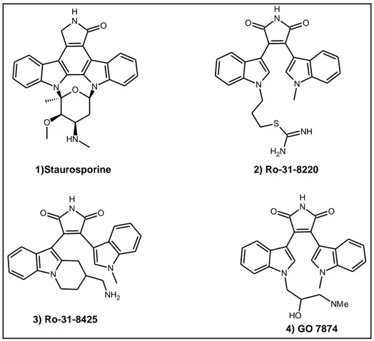 Table 4.1: Activity of staurosporine and analogs in the Akt1 flashplate assay (ATP: 2 μM)