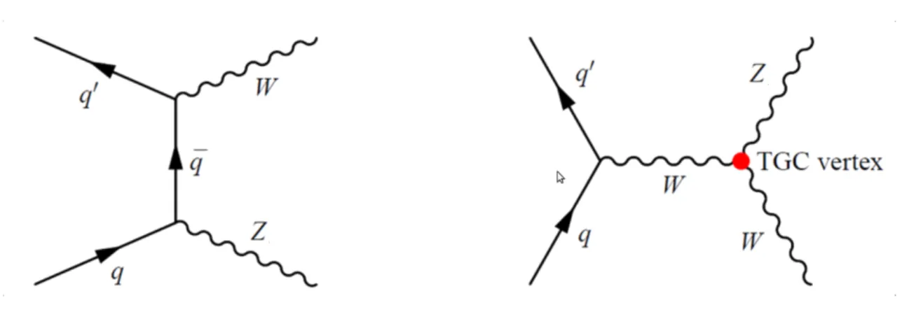 Fig. 1.5: Feynman diagrams of W ± Z production in hadronic collision at the leading order