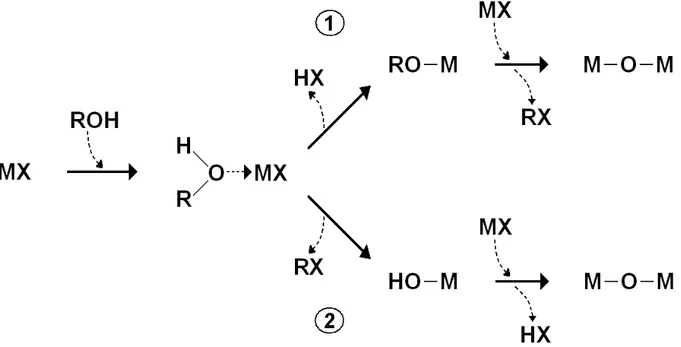 Fig.  1.6  Gelation  mechanisms  in  metal  halide/alcohol  systems.  (1):  Mechanism  for  primary  and  secondary alcohols