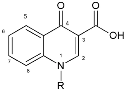 Figura 3 - Struttura dei composti chinolonici 