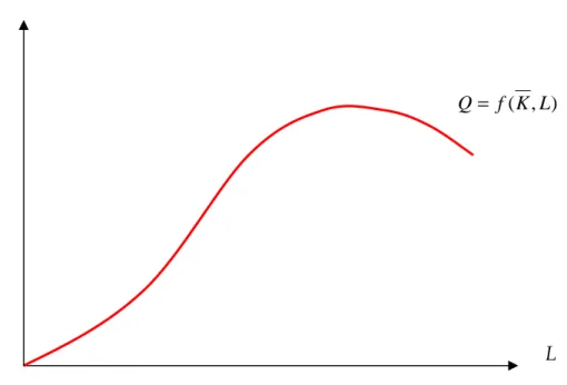 Figura 2.1 Esempio di funzione di produzione di breve periodo 