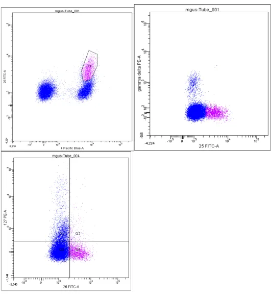 Fig.  6  Analisi  citofluorimetrica  CD4/CD25/CD127  per  identificazione T regolatori  