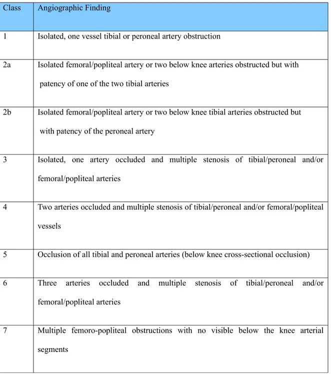 Table 3: Graziani’s classification of below-the-knee arterial lesions