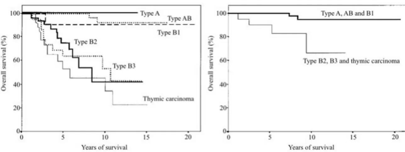 Figure  1.5:  modified  from  Chen  et  al. 31   (A)  Overall  survival  reported  for  each  histological  subtype