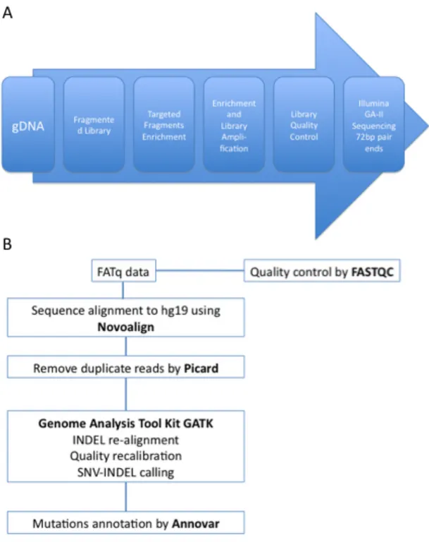 Figure  2.1:  Exome  sequencing  procedure.  (A)  Workflow  from  genomic  DNA  to  sequencing machine