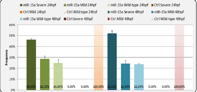 Figura 4.5: Rappresentazione grafica dei dati mostrati in Tabella 4.4 