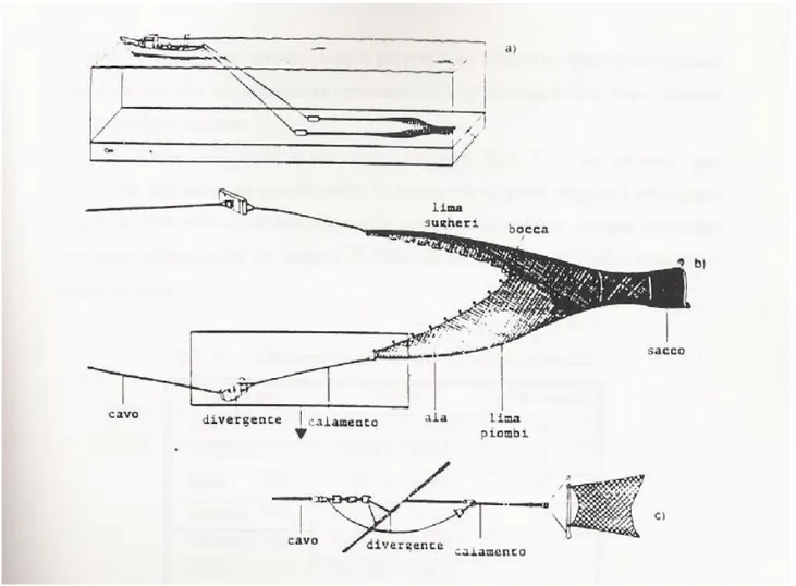 Fig. 4.3.4 - Schema di rete a strascico e dei suoi componenti: a) posizione dell’attrezzo durante    lo  strascico; b) componenti principali dell’attrezzo; c) particolare degli elementi di unione tra cavo e  rete (da Lleonart e Sardà’, 1986).