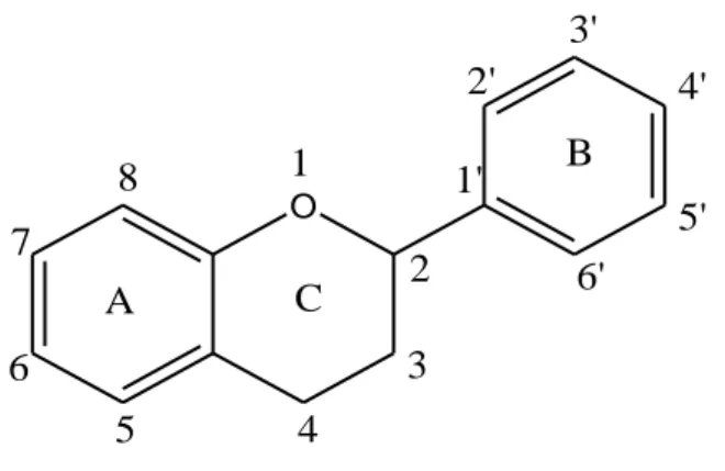 Figura 1. Scheletro base dei flavonoidi  (Maugini et al.,2006). 