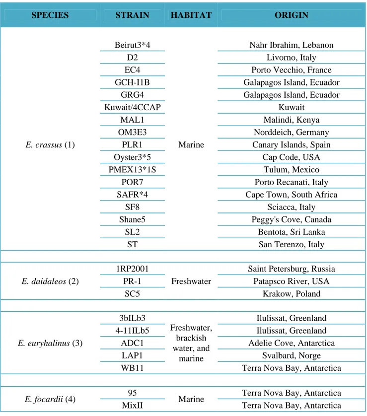 Table  4.  Detailed  list  of  the  Euplotes  strains  examined  in  this  study  with  their  geographical  origin
