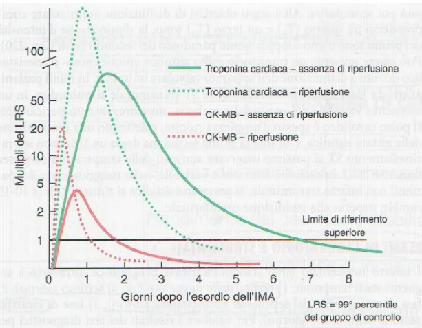 Figura 7 – Movimento dei marker di miocardionecrosi solitamente utilizzati nello STEMI (da Harrison, 