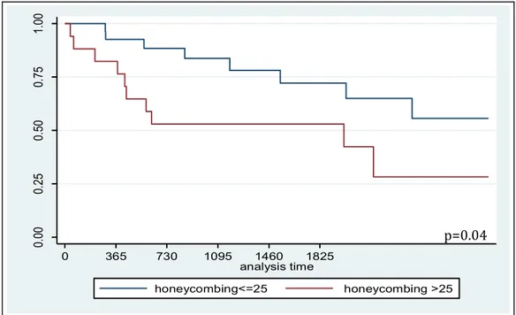 Figure 13.  Kaplan-Meier survival curves for patients with honeycombing score above and   below 25 (p=0.04)