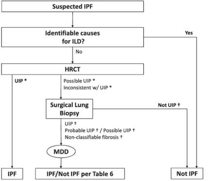 Figure  3.  Diagnostic  algorithm  for  idiopathic  pulmonary  fibrosis  (IPF)  on  the  basis  of  ATS/ERS/JRS/ALAT  2011  guidelines