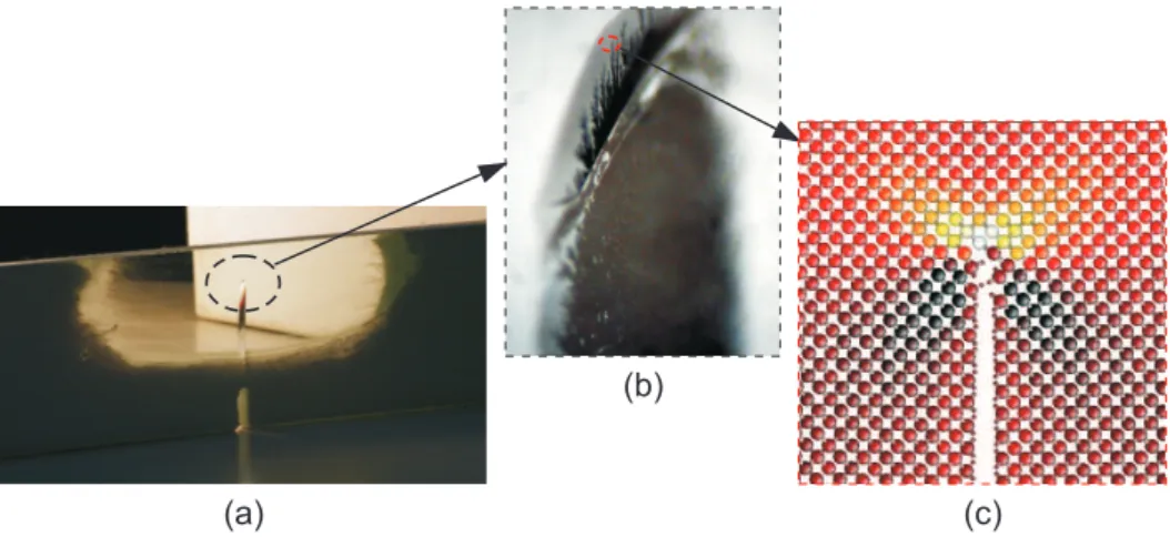 Figure 2.1: Fracture analysis according to different length scale approaches of a glass specimen