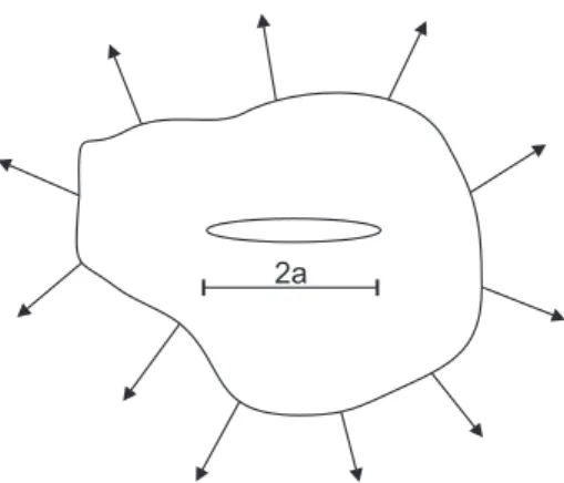 Figure 2.8: Cracked system considered for the study of energy balance.