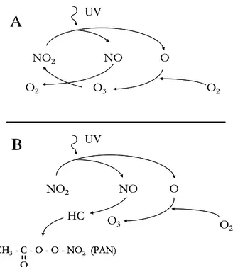 Fig. 2: A) Ciclo fotolitico indisturbato del biossido di azoto; B) interazione con gli idrocarburi a  formare lo smog fotochimico (da Lorenzini e Nali, 2005)