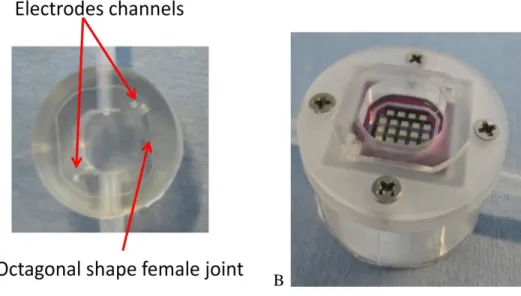 Figure 3.12 A: upper view of ILT2 bottom chamber. B: Bottom chamber and holder system  are assembled 