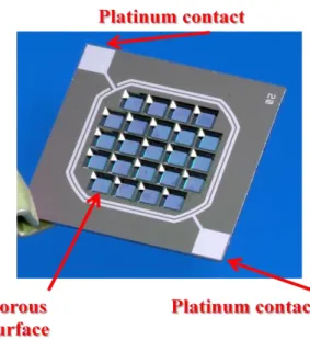 Figure 3.2Micro fabricated membrane used in InLiveTox 