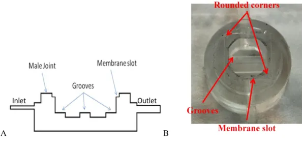 Figure 3.4 A: Section view of ILT1bottom chamber. Grooves, membrane slot and male  joint are in evidence