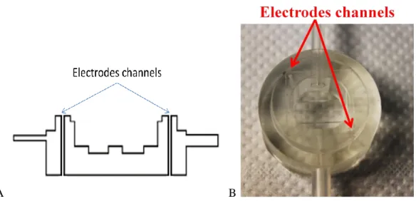 Figure 3.5 A: Section view of ILT1bottom chamber. Electrodes channels are in evidence