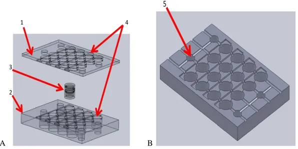 Figure 5.1 A: 3D view of Bioreactor plate composed of an upper level (1) and a bottom  one (2)