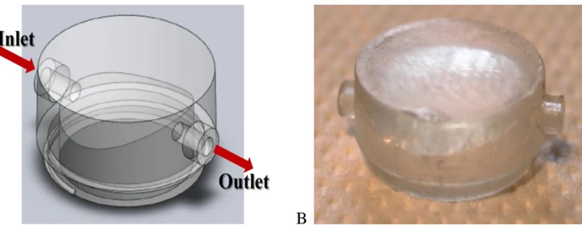 Figure 5.7  A: Upper chamber is represented. Red arrows represent medium flow  direction