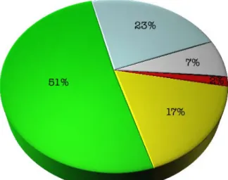 Fig. 1. Distribuzione degli accessi al P.S. di Pisa nell’anno 2011                               in base ai codici colore assegnati al triage 