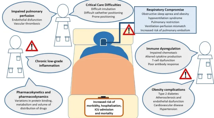 Figure 1. Obesity-related factors associated to adverse clinical outcomes from viral infections in both specialty and inten- inten-sive care settings