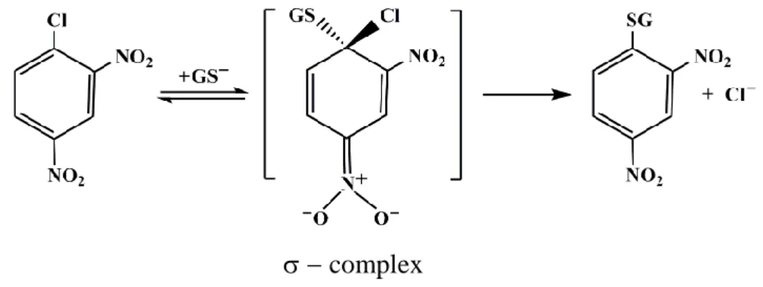 FIGURE 1.2. The conjugation of GSH to CDNB catalyzed by GSTs. 