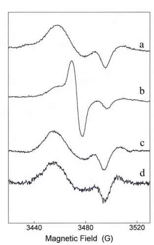 FIGURE  2.4.  EPR  spectra  of  DNGIC- DNGIC-GST  formed  by  GSNO.  Spectrum  a,  homogenate  (56  µM  GSTs)  after  1  h  of  incubation  with  1mM  GSNO