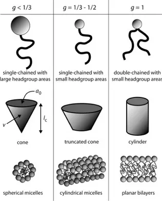 Figure 1.5: Examples of packing shapes and micellar aggregates formed by surfactants. 
