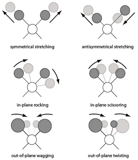 Figure 2.4: Examples of vibrational modes of a diatomic molecule: the first two ones are stretching modes  (symmetrical and antisymmetrical), the others can be classified as bending modes (rocking, scissoring, wagging,  twisting)