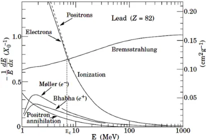 Figure  2-5 :    perte d'énergie partielle par longueur de radiation dans le plomb en fonction de l'énergie de  l'électron ou du positron
