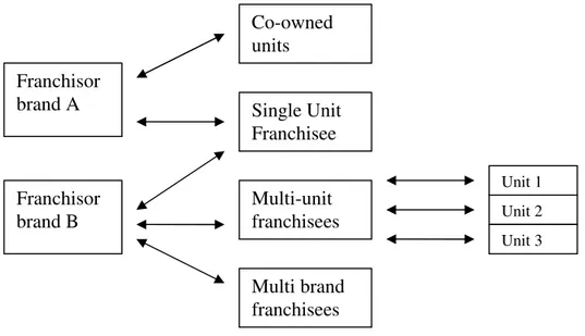 Fig. 1.4 Complex franchising relations scheme 