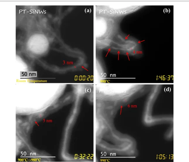 Figure 2. EFTEM images of (a) cylindrical SiNW at t ∼ 0 and (b) the same SiNW after ∼1 h and 45 min: it can be seen that the SiNW broke up into Si crystalline fragments after the annealing