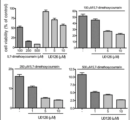 Figure 6. The  effect of Mek 1/2  inhibitor U0126 on 5,7-dimethoxycoumarin activity in  murine melanoma cell line