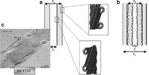 Fig. 1-13 HRTEM and schematics of graphene loops that folds at the end of the angled graphene planes [19]