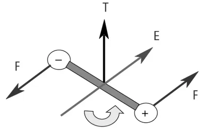 Fig. 2-2 Forces caused by an electric field perpendicular to a dipole [1] 