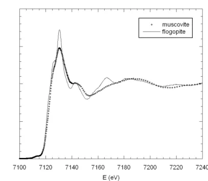 Figura 2.19: Confronti tra spettri XANES di una mi
a triottaedri
a (ogopite) e una