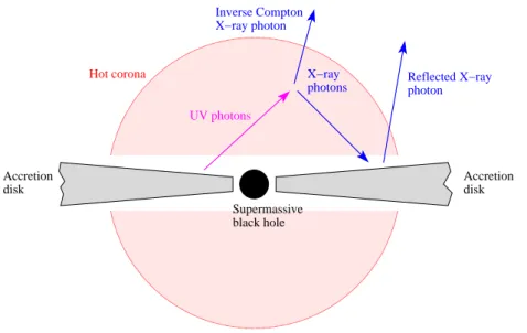 Figure 1.24: Geometry of the standard model of X-ray emission from AGNs.