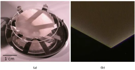 Figure 3.5: (a) A capillary plate built by Hamamatsu Photonics used as a collimator. (b) An enlargement view showing the hexagonal pattern and the 10 µm holes.