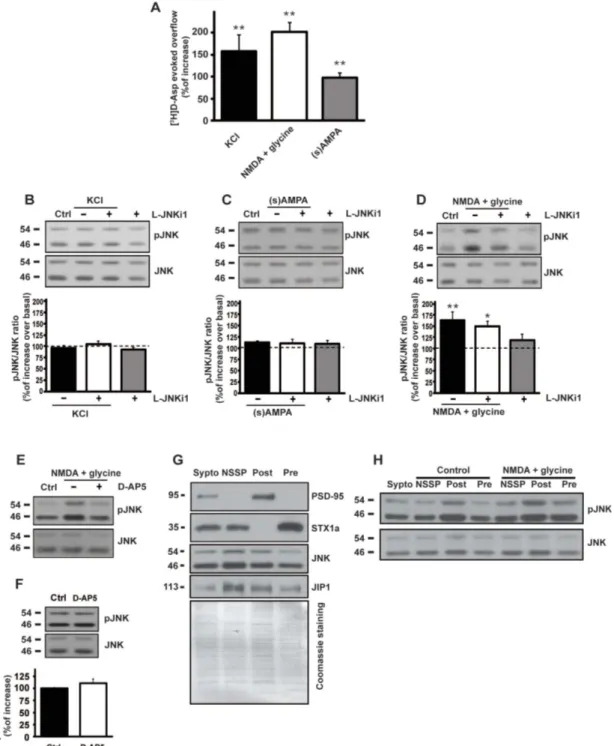 Figure 1 | Effect of different pharmacological stimuli on presynaptic glutamate release and biochemical modulation of JNK