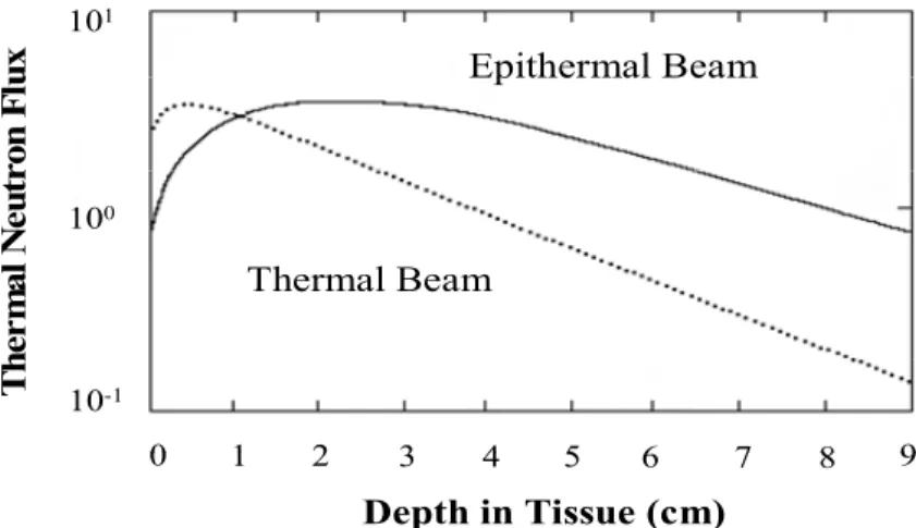 Fig. 2. Variation of the thermal neutron fluence with tissue depth using a thermal or  epithermal neutron beam (Coderre &amp; Morris, 1999)
