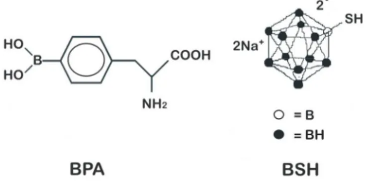 Fig. 3. Chemical structures of BPA and BSH. 