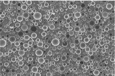 Fig. 16 Micrografia di una schiuma sintattica ottenuta con un microscopio elettronico