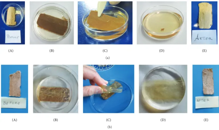 Figure 2: (a) Cleaning procedure with water immersion: (A) paper fragment immersed in water bath; (B) paper fragment in water; (C) removal of paper fragment from water bath after 1 h; (D) the dirt removed from paper by deionized water; (E) paper sample aft