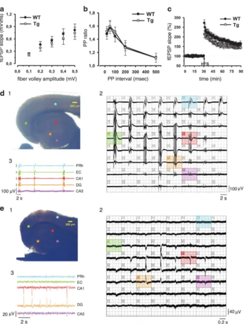 Figure 7 Electrophysiological analysis on the hippocampus of TgproNGF mice. Synaptic function in area CA1 and spontaneous epileptic-like events in the EC–hippocampal area of 12-month-old Tg proNGF#3 and TG proNGF#72 mice